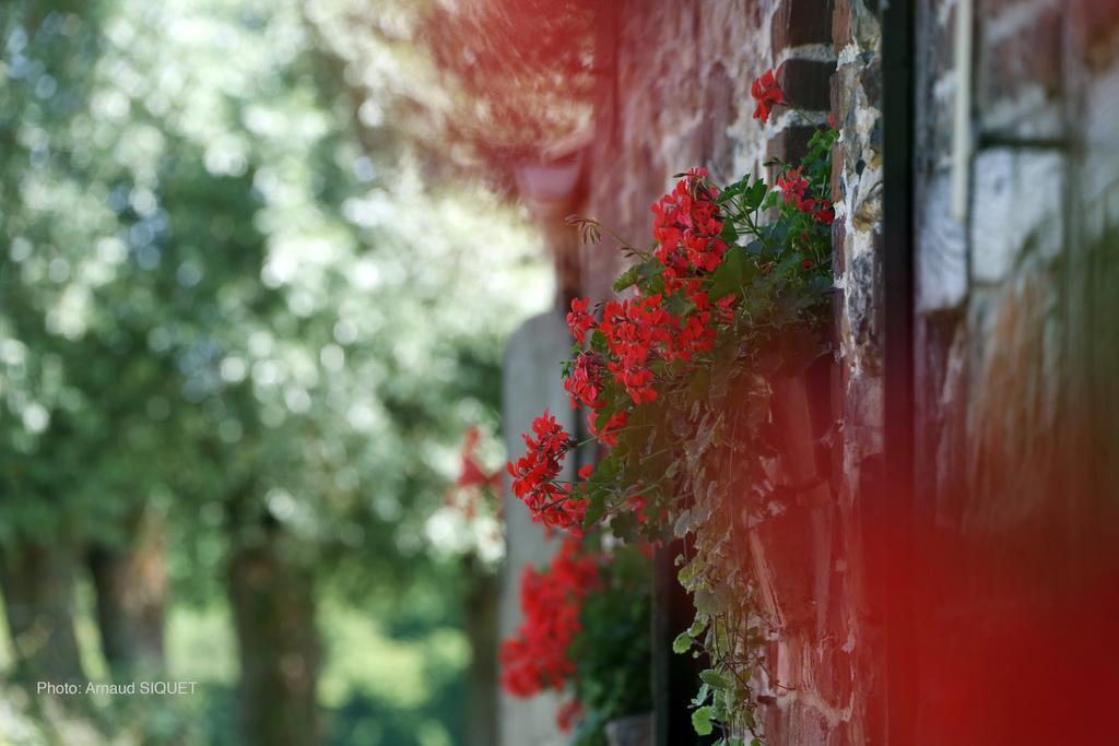 Paturages De La Kys Villa Voeren Bagian luar foto